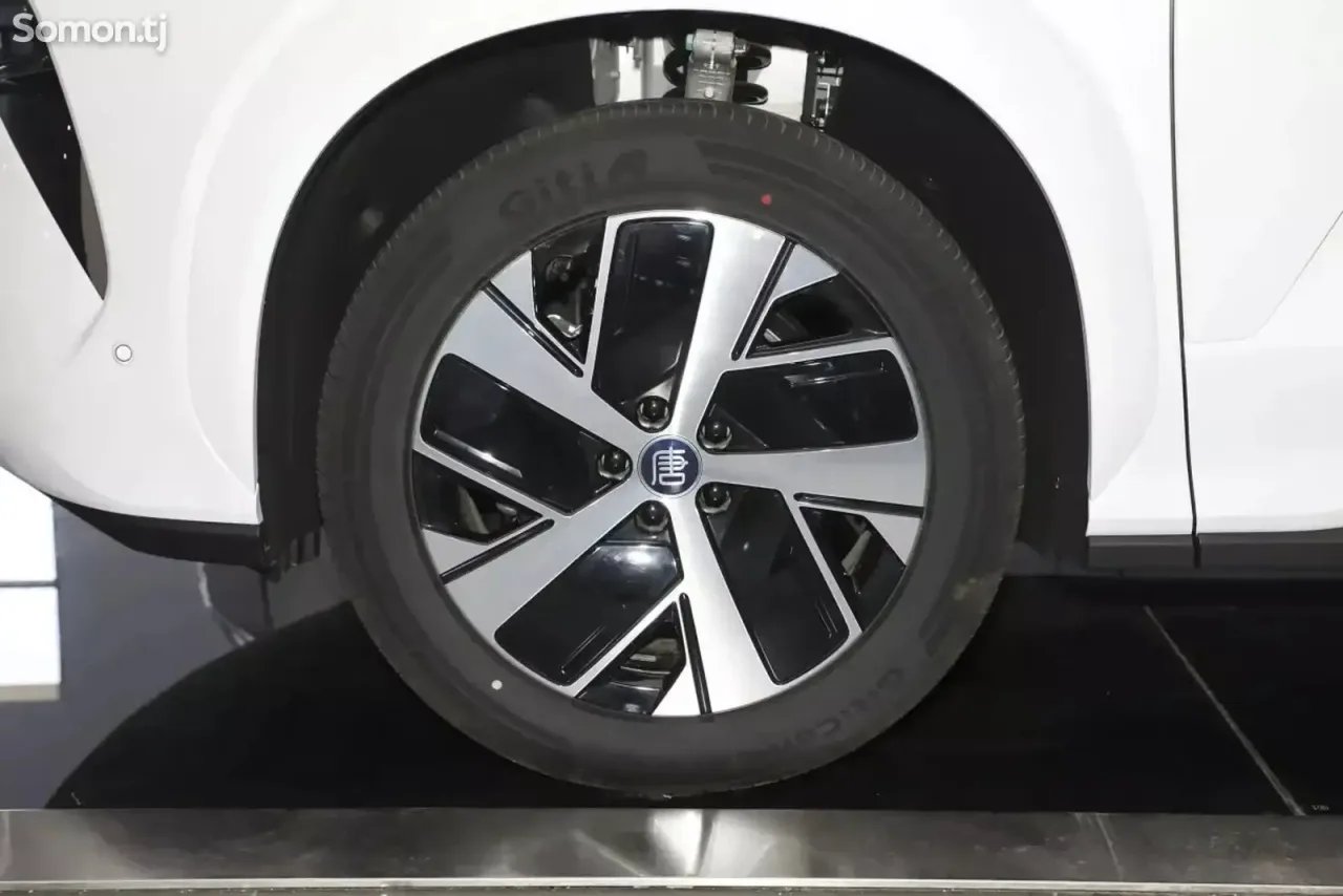 BYD Tang 2025 · AMT