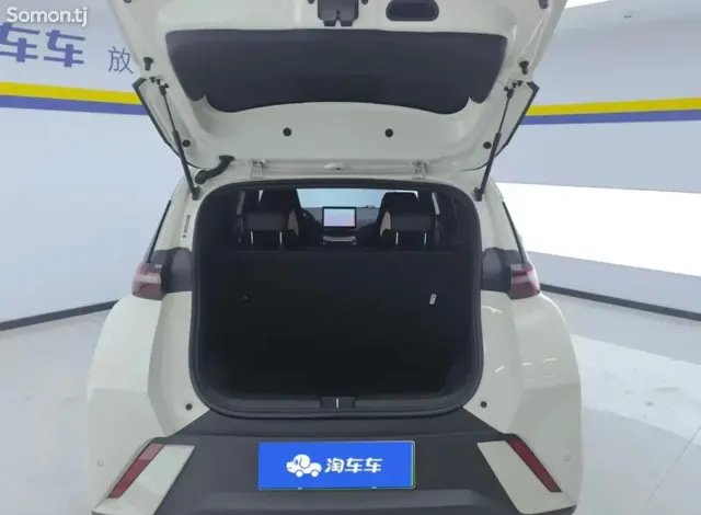 BYD Seagull 2024 · AT