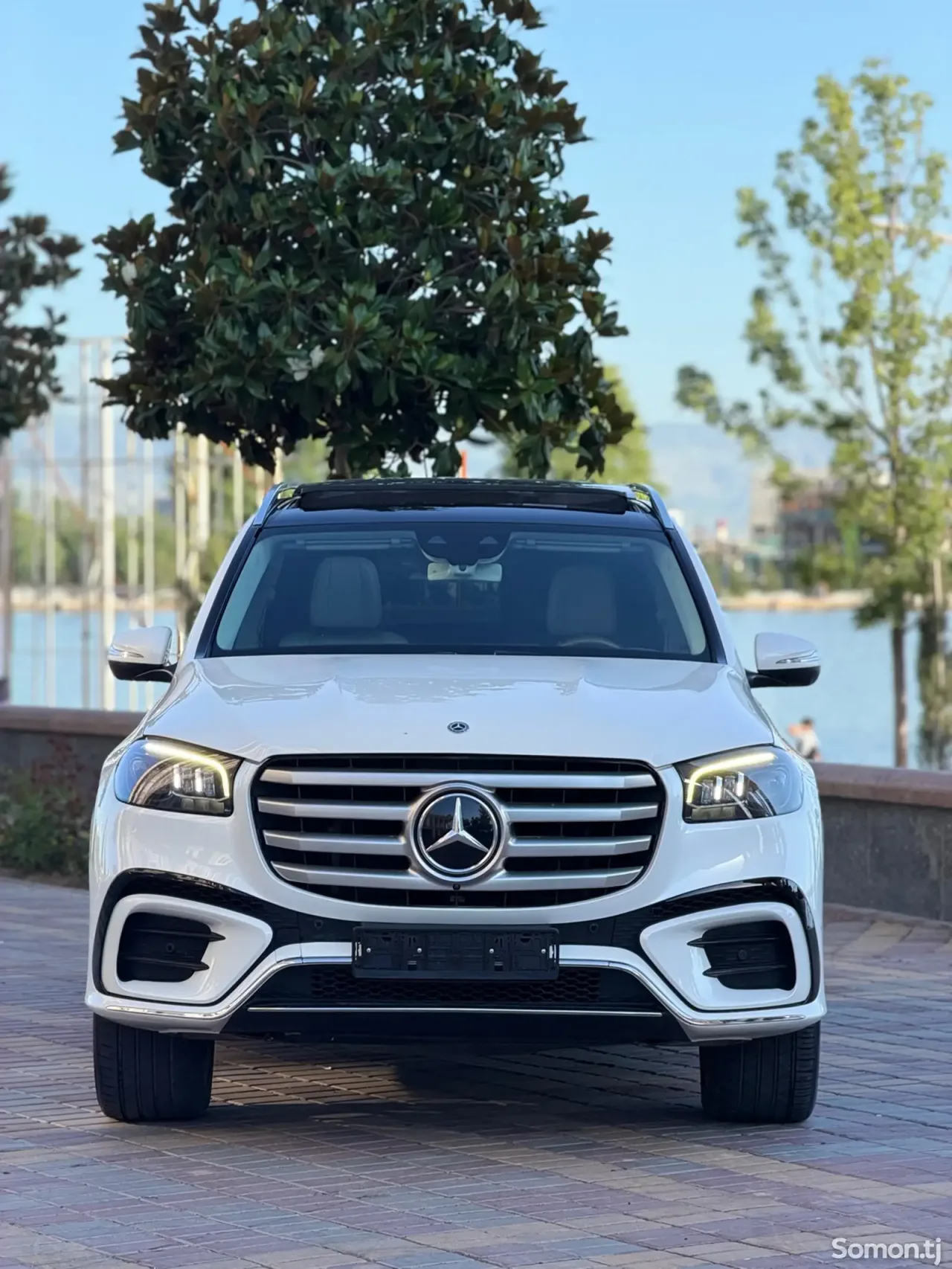 Mercedes-Benz GLS 2020 · 4.5 AT