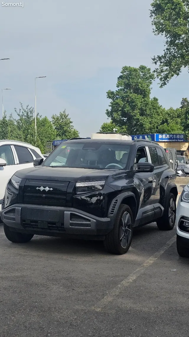 BYD Leopard 3 2025 · AT