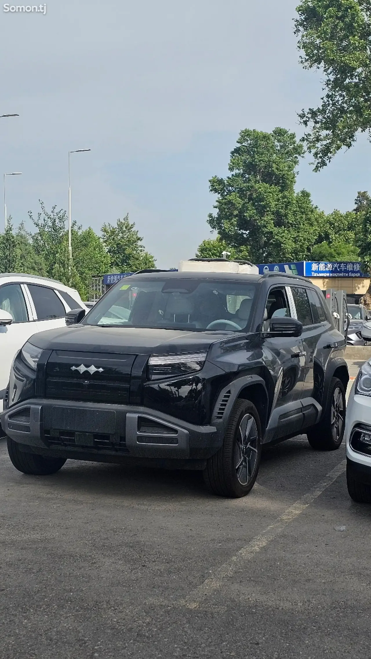 BYD Leopard 3 2025 · AT
