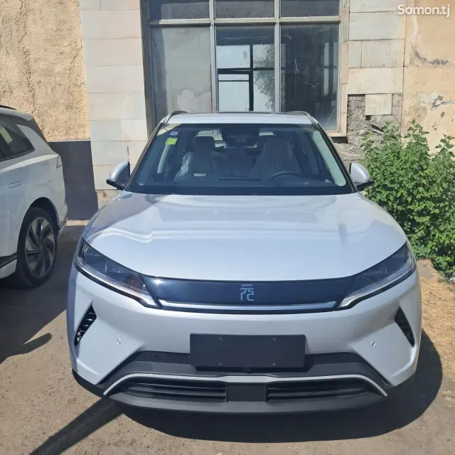 BYD Yuan Up 2025 · AMT