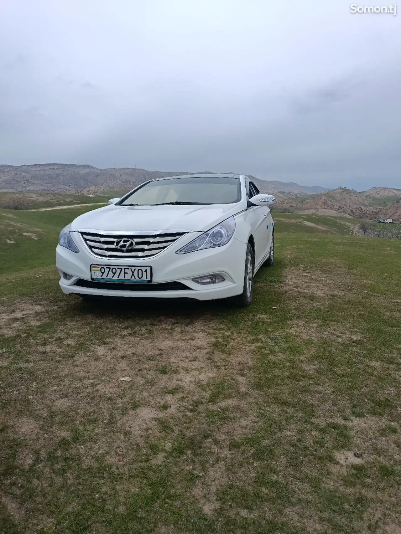 Hyundai Sonata 2010 · 2.0 AT