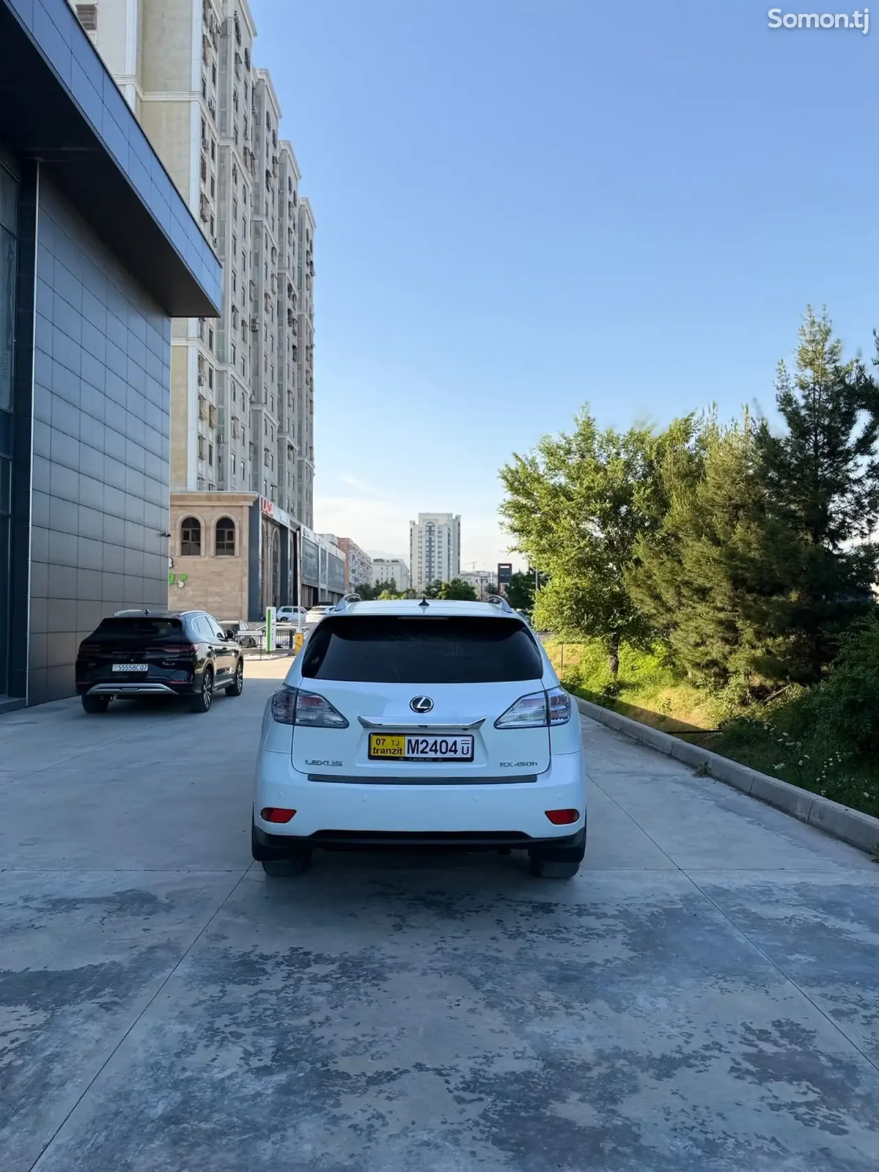 Lexus RX series 2010 · 4.5 AT
