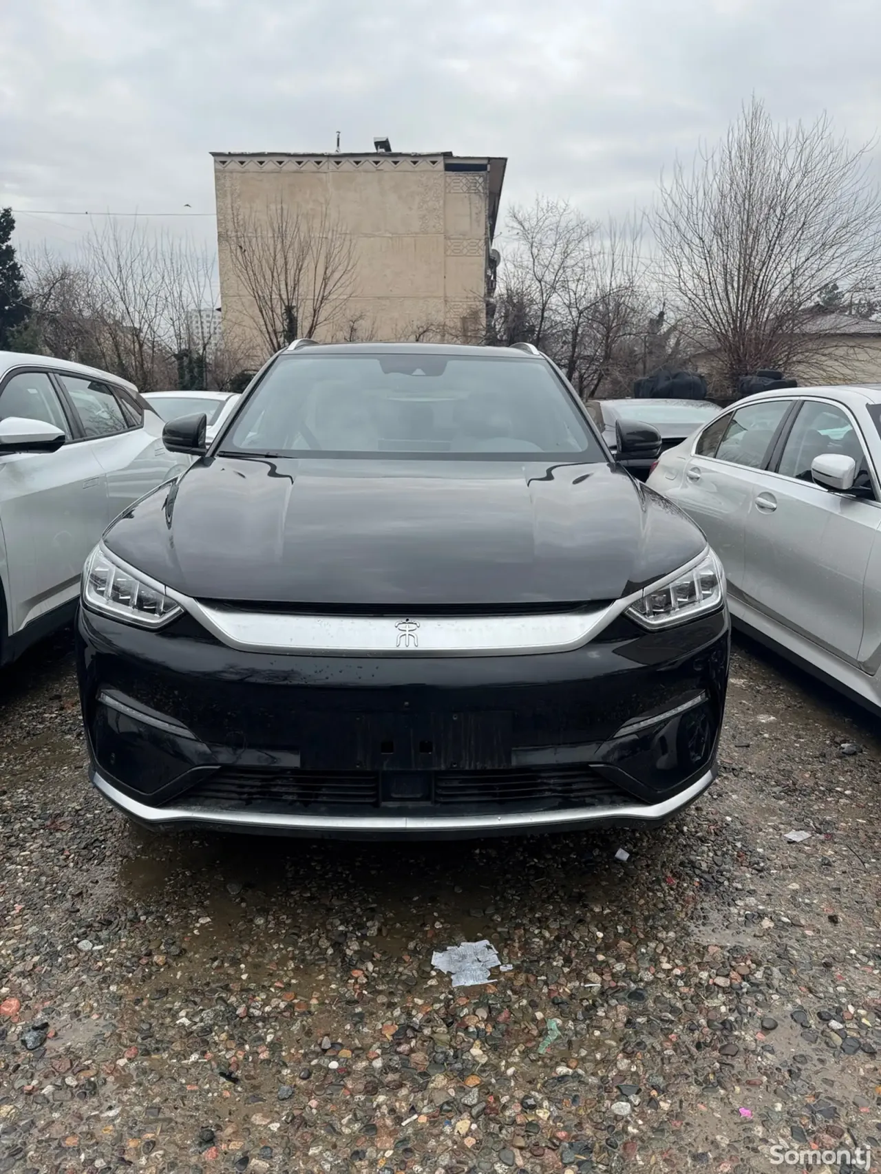 BYD Song Plus 2024 · AT