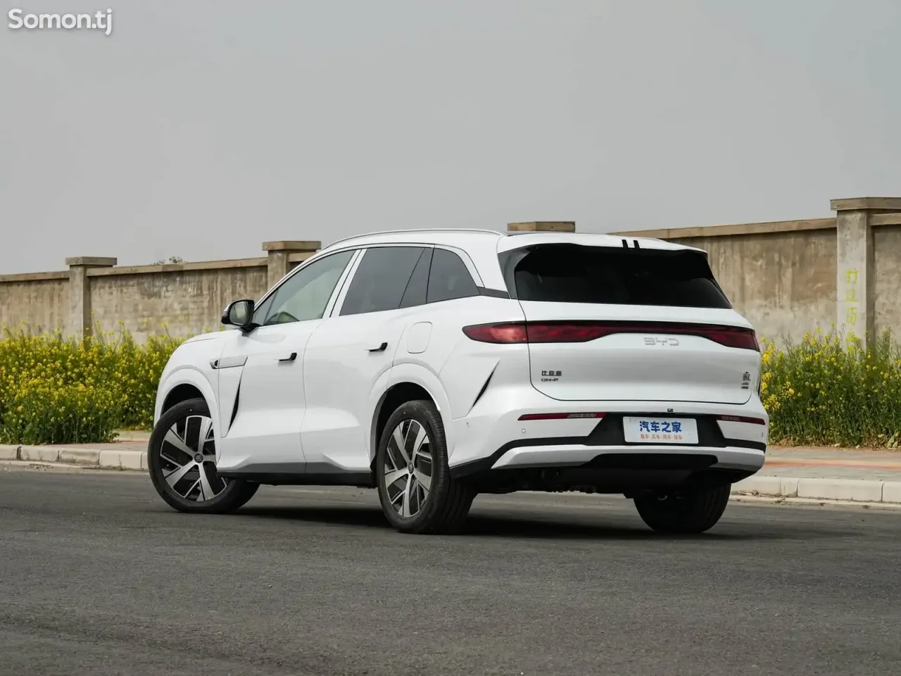 BYD Tang 2025 · AT