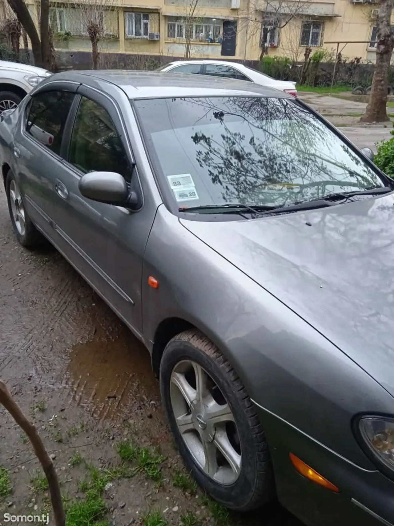 Nissan Maxima 2005 · 3.0 AT