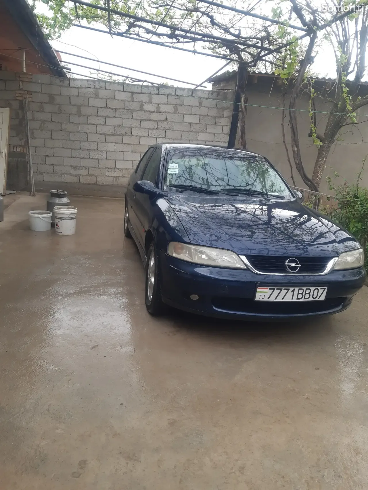 Opel Vectra B 2000 · 1.6 MT