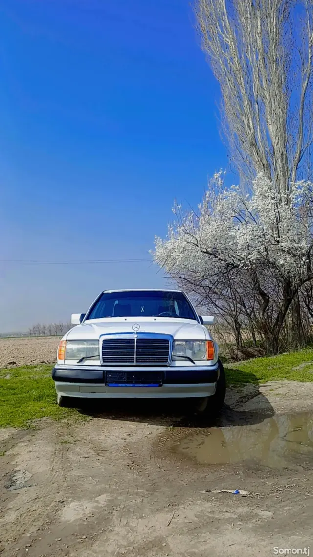 Mercedes-Benz W124 1991 · 2.0 MT