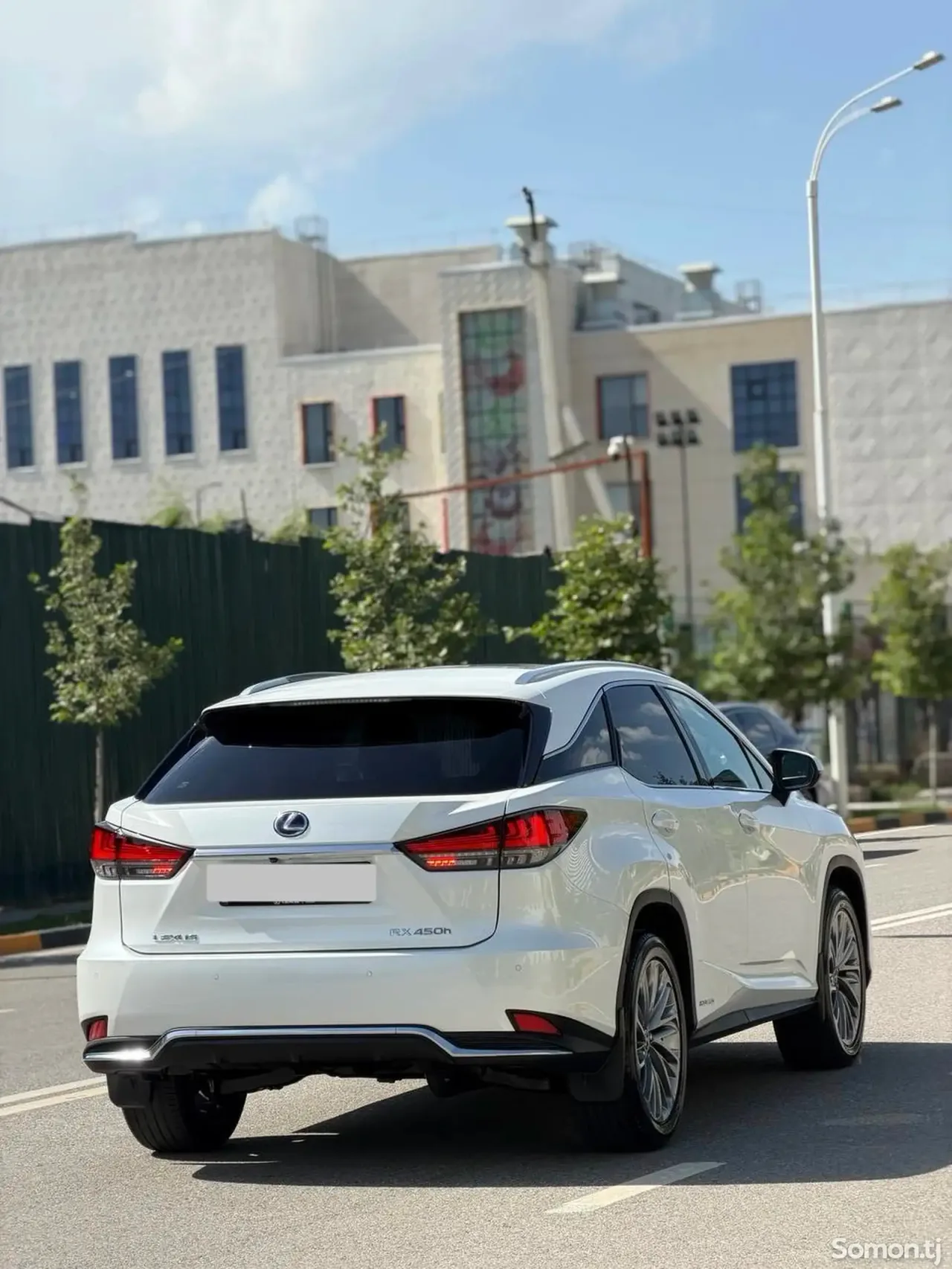 Lexus RX series 2020 · 4.5 AT