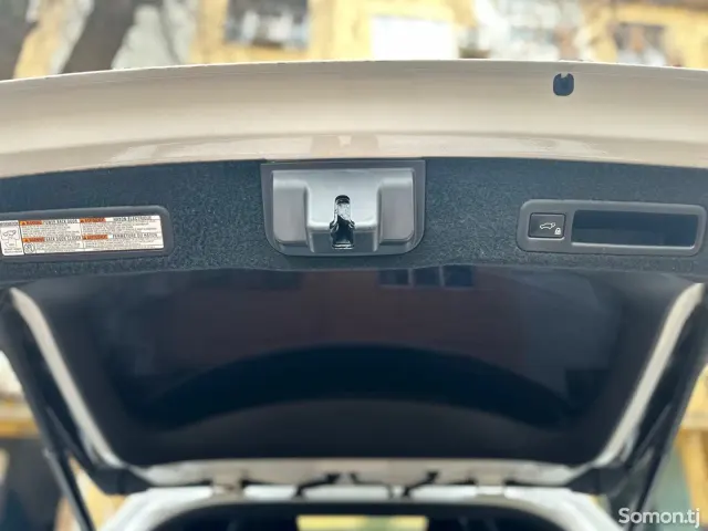 Lexus RX series 2019 · 4.5 AT
