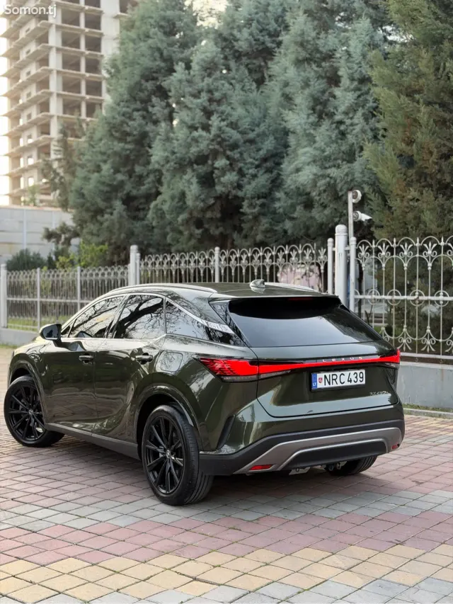 Lexus RX series 2025 · 4.5 AT