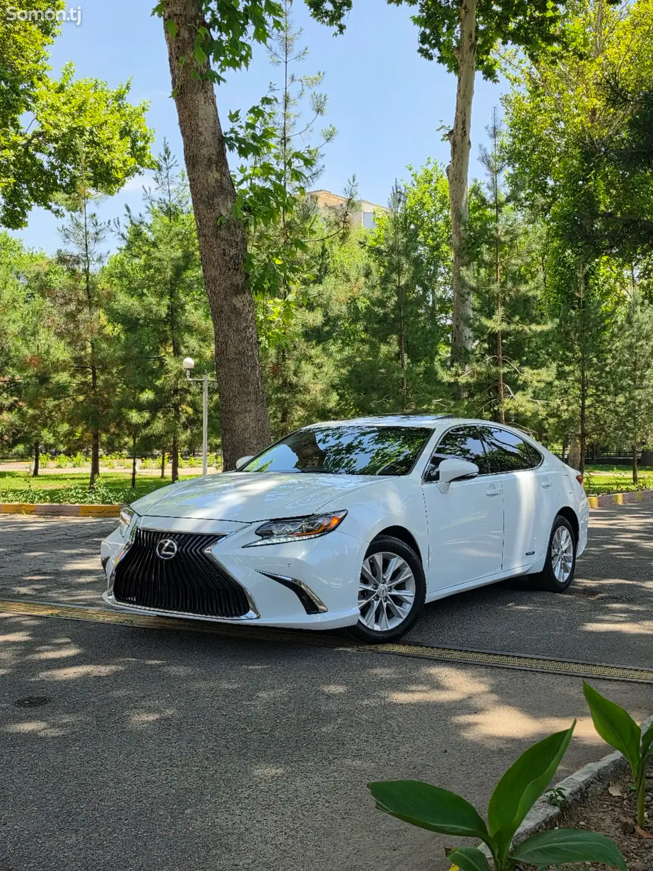 Lexus ES series 2015 · 2.5 AT