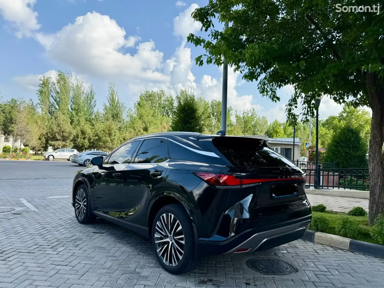 Lexus RX series 2025 · 3.5 AT
