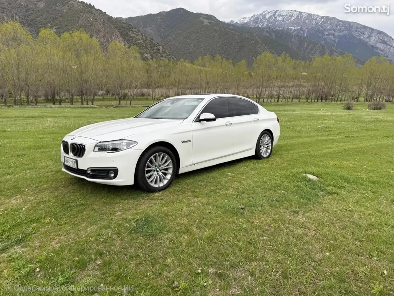 BMW 5 series 2015 · 2.0 AT
