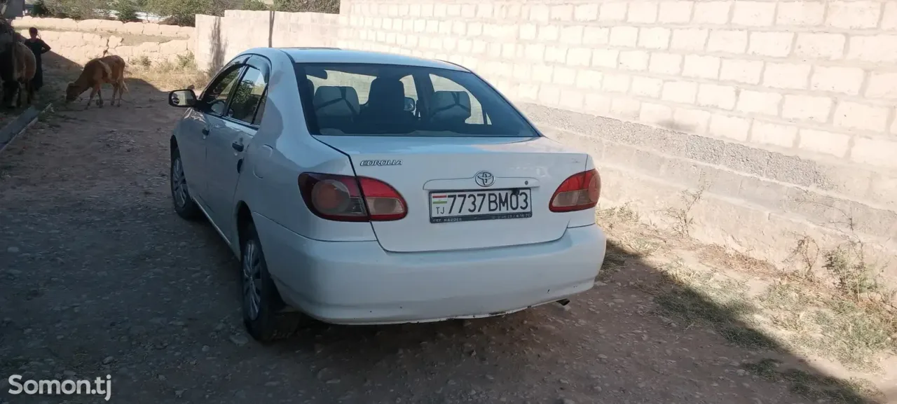 Toyota Corolla 2007 · 1.3 MT