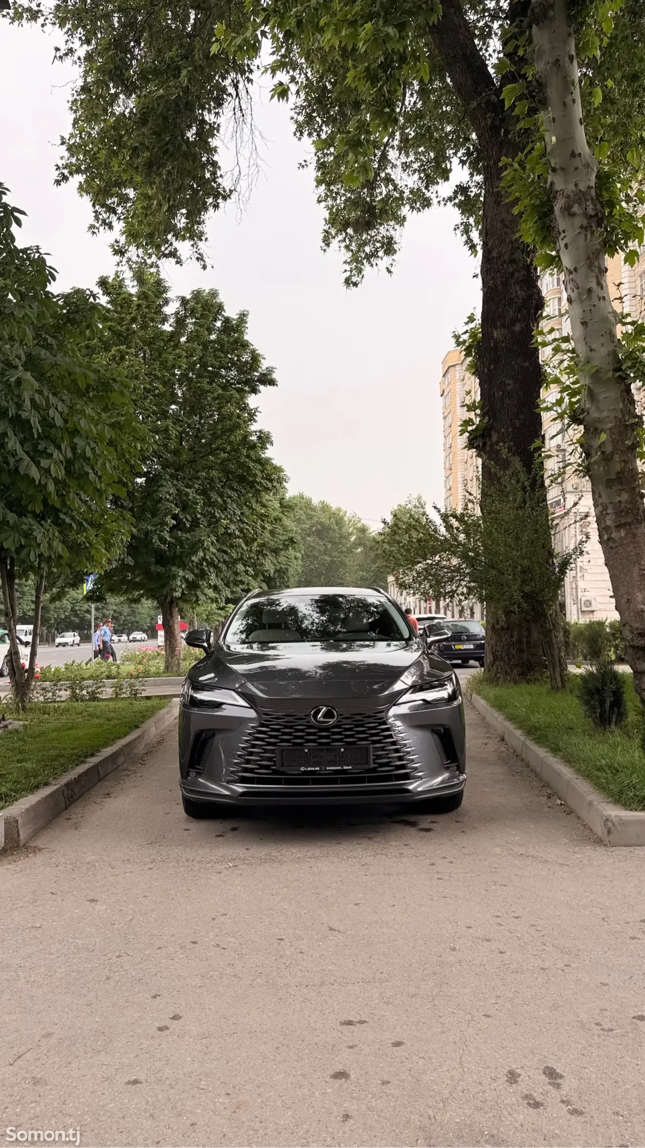 Lexus RX series 2025 · 3.5 AT
