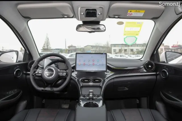 BYD E2 2025 · AMT