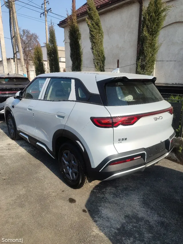 BYD Yuan Up 2025 · AMT