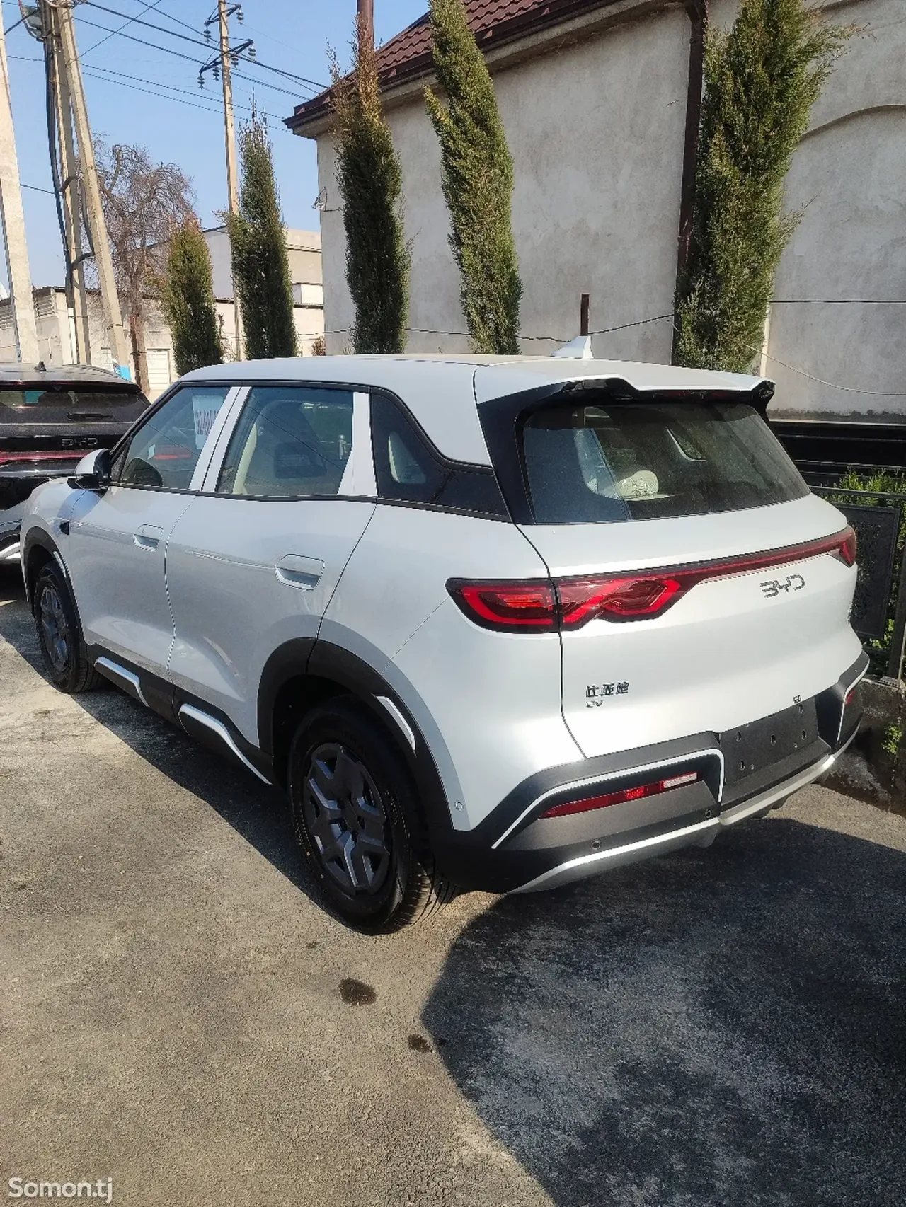 BYD Yuan Up 2025 · AMT
