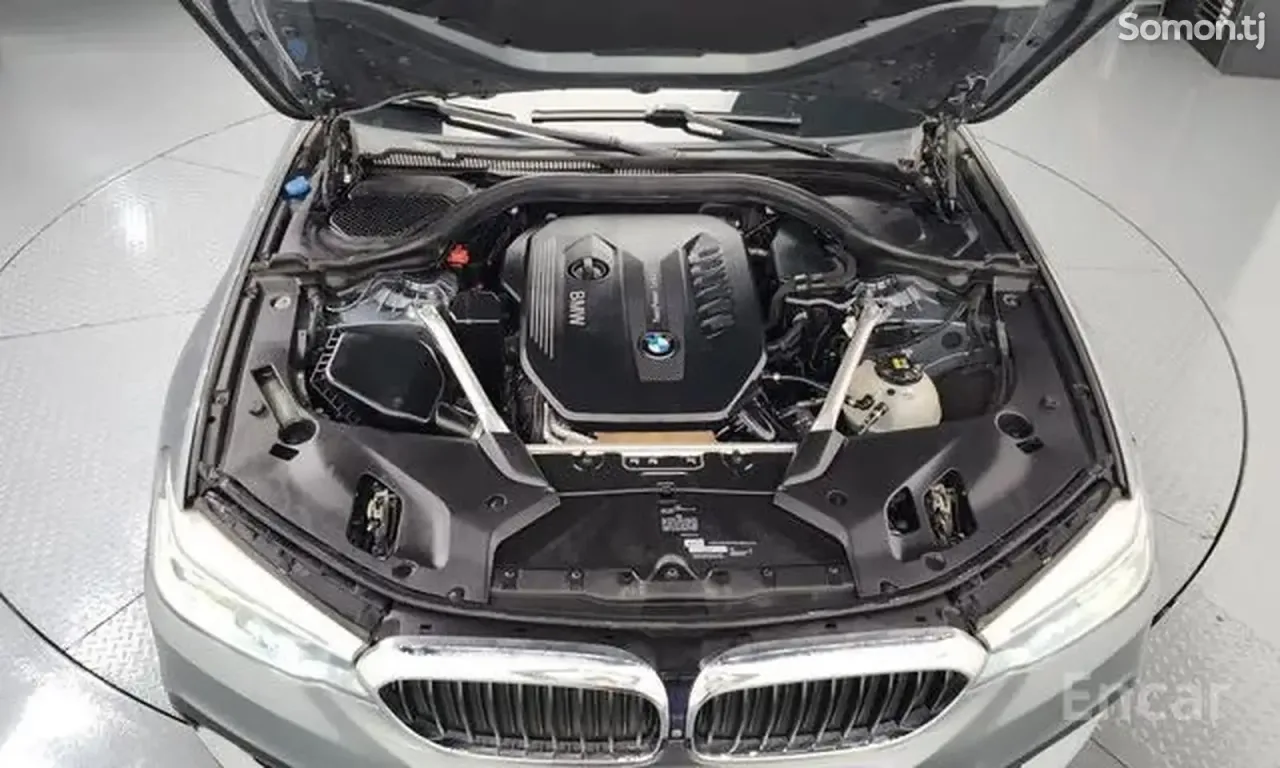 BMW 5 series 2019 · 3.0 AT