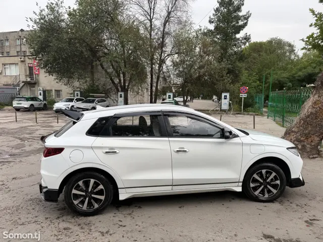 BYD E2 2024 · AT