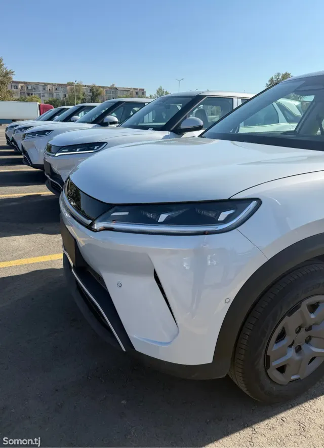 BYD Yuan Up 2025 · AT