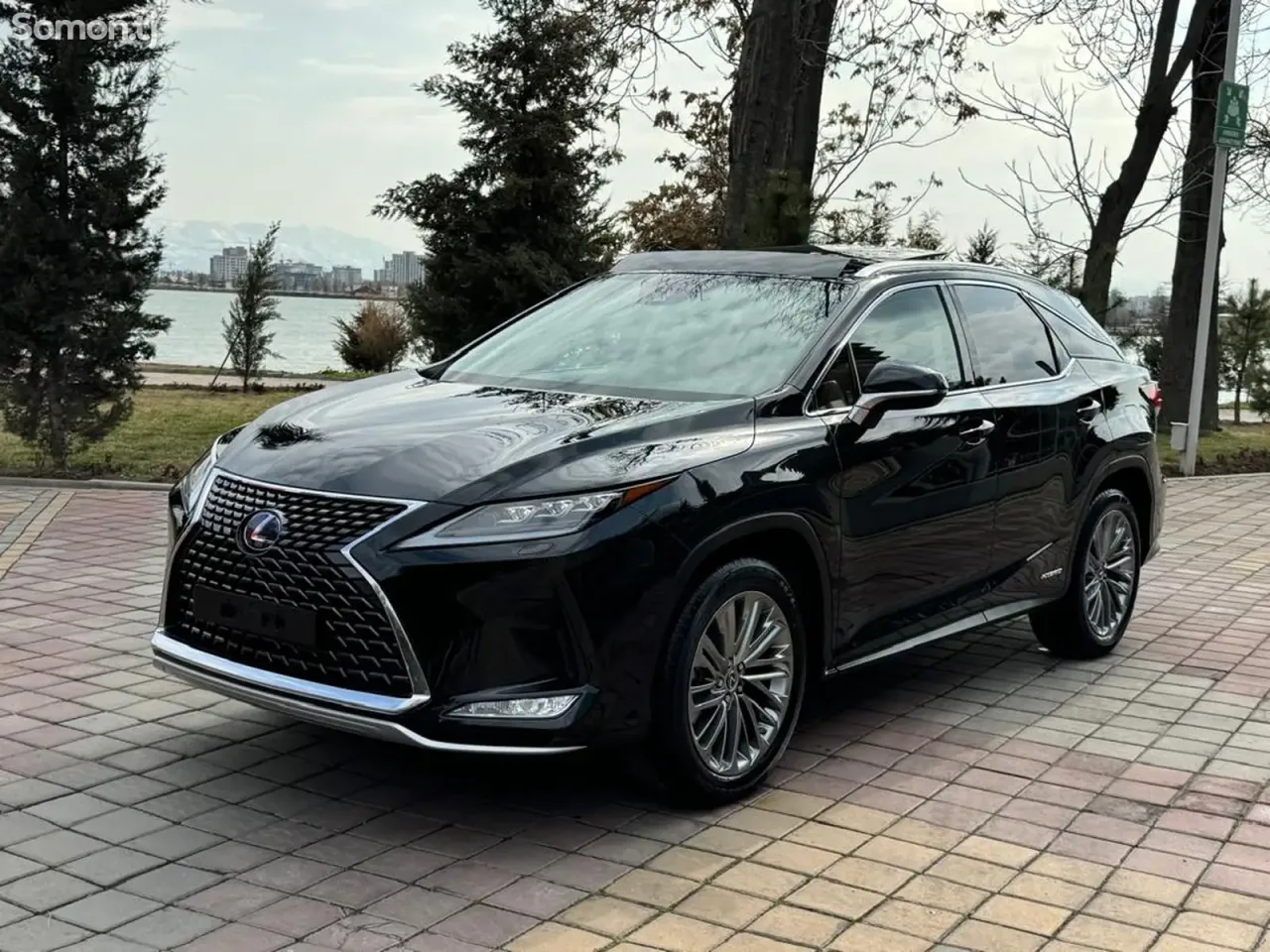 Lexus RX series 2022 · 4.5 AT
