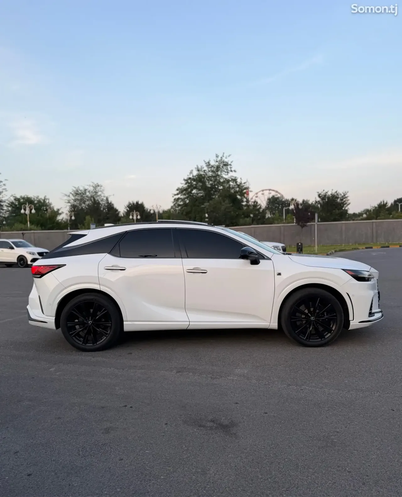 Lexus RX series 2024 · 5.0 AT
