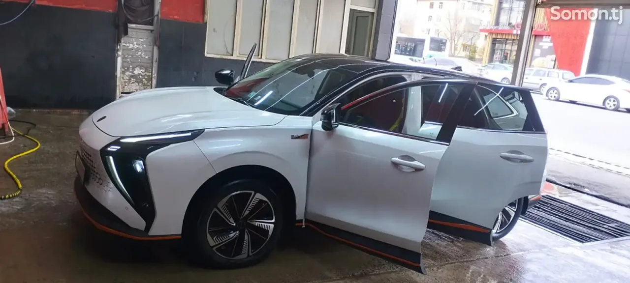 Dongfeng Forthing 2025 · 2.2 AT
