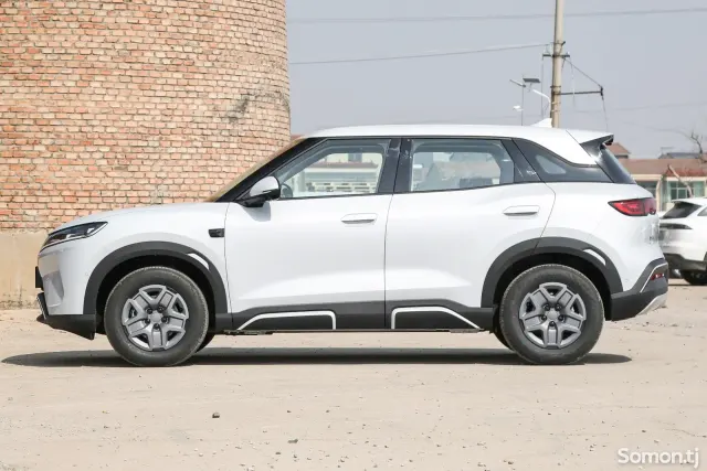 BYD Yuan Up 2025 · AMT