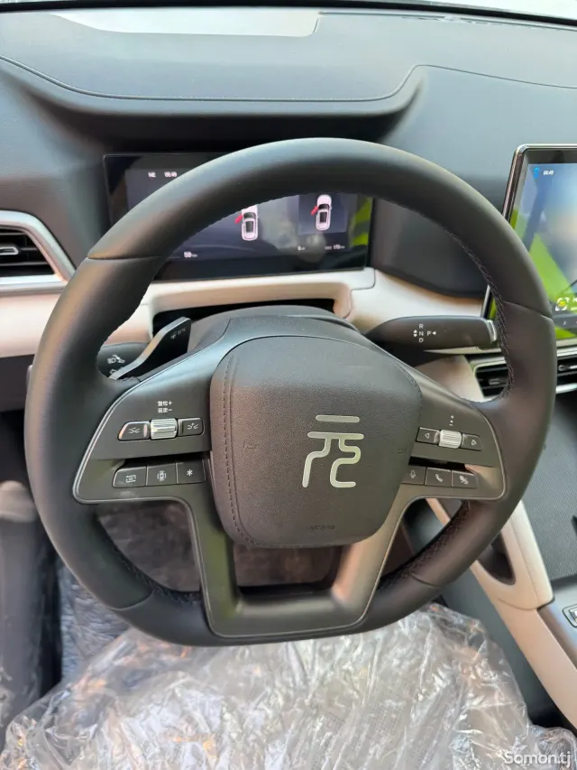 BYD Yuan Up 2025 · AMT