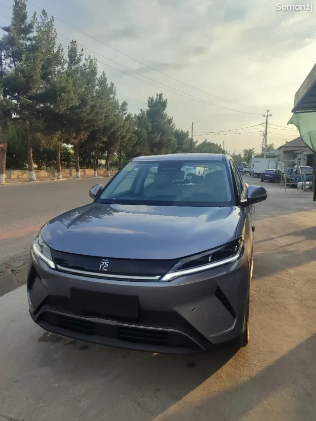 BYD Yuan Up 2025 · AT