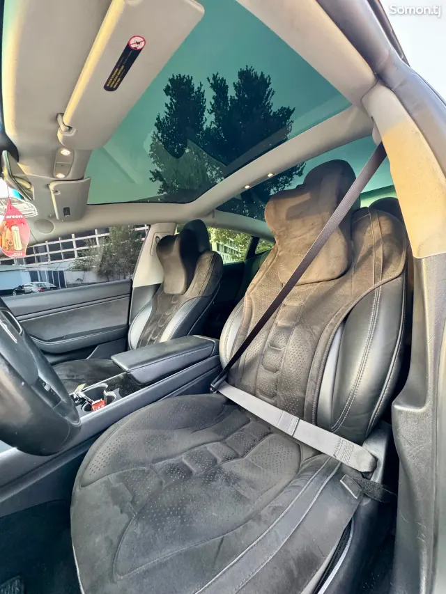 Tesla Model 3 2019 · AMT