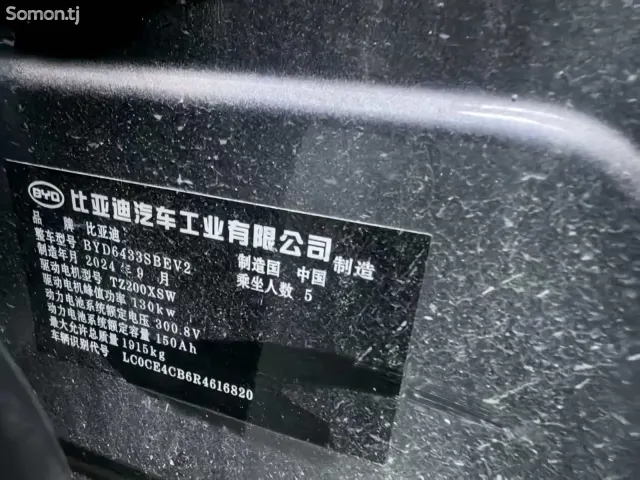 BYD Yuan Up 2024 · AT