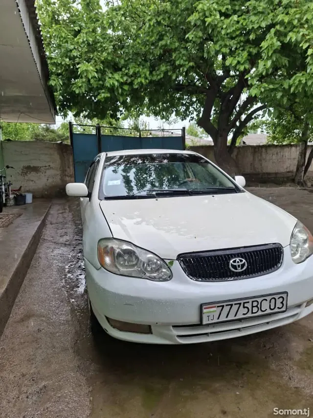 Toyota Corolla 2006 · 1.3 MT