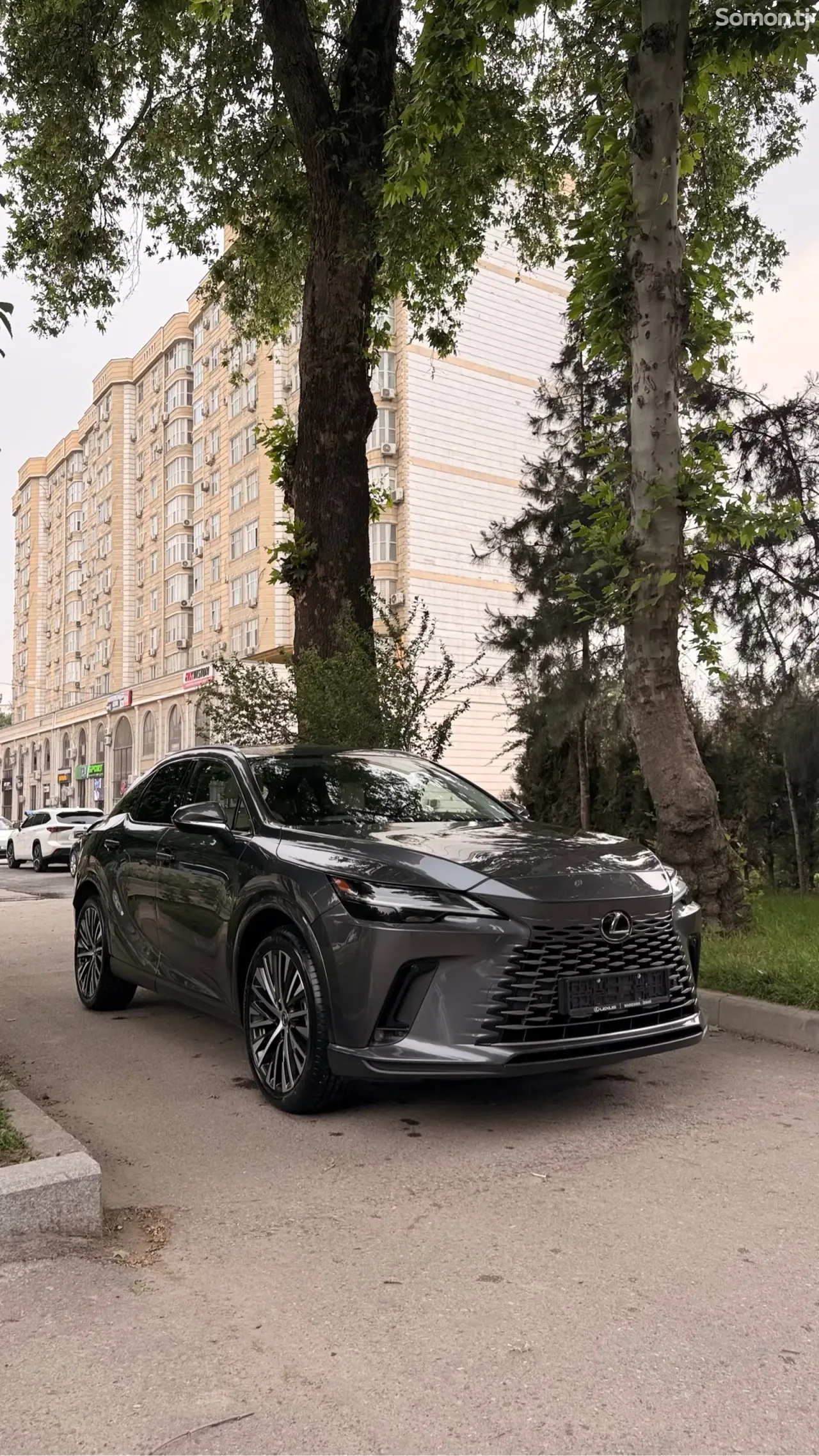 Lexus RX series 2025 · 3.5 AT