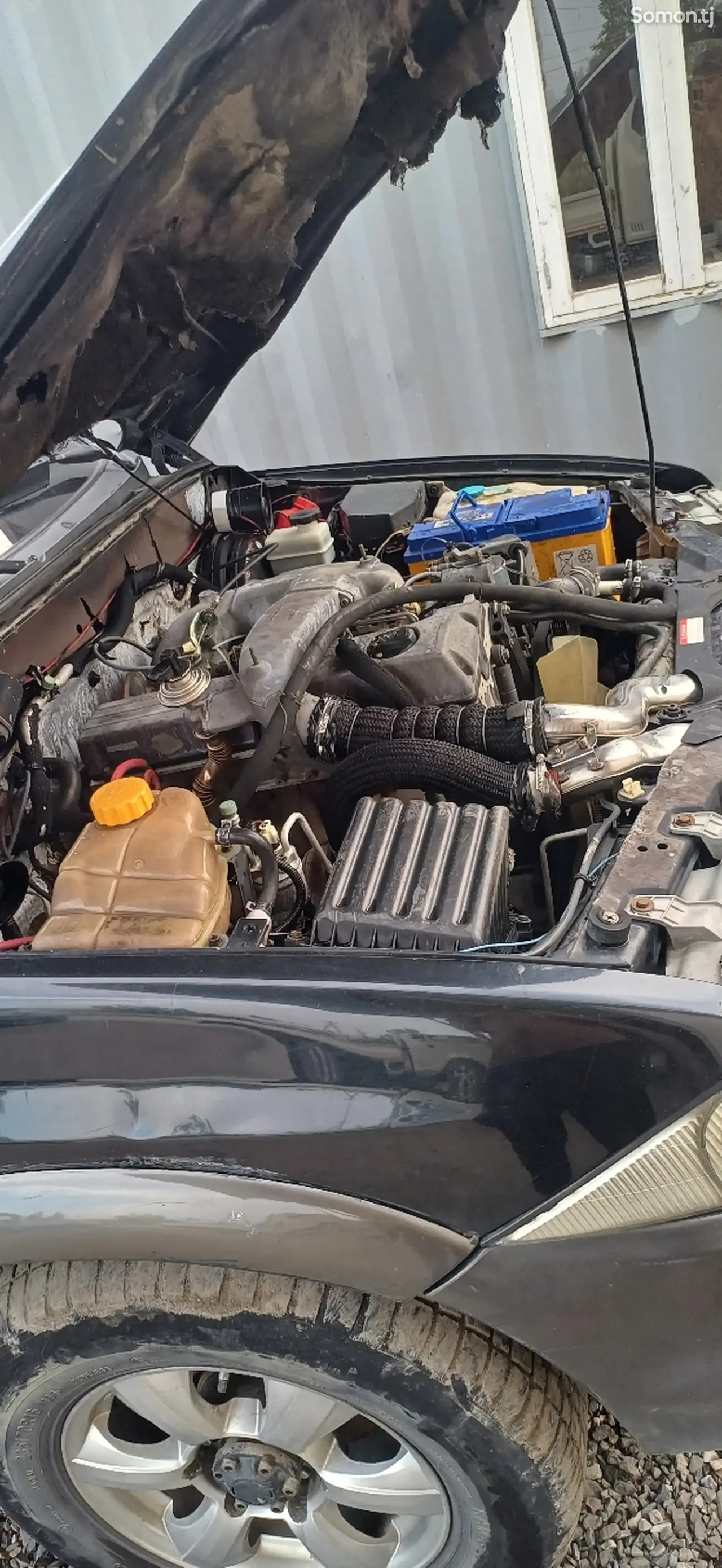 Ssang Yong Musso 2003 · 2.9 MT