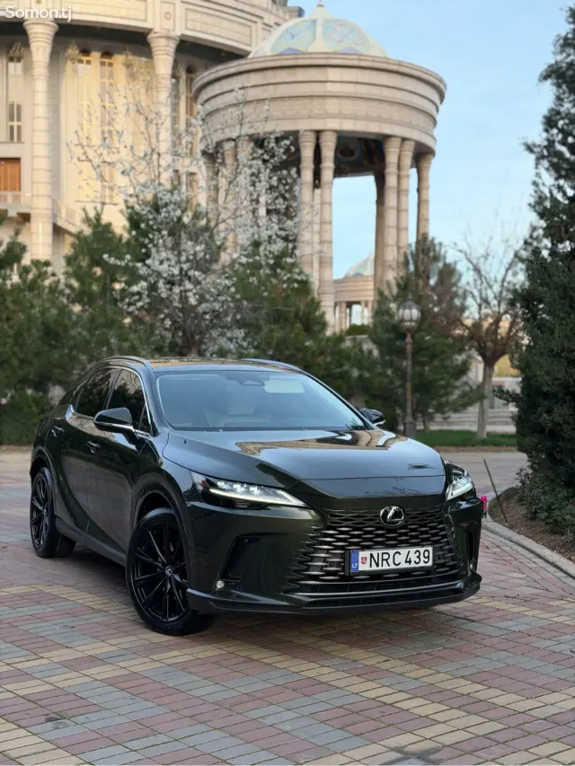 Lexus RX series 2025 · 4.5 AT