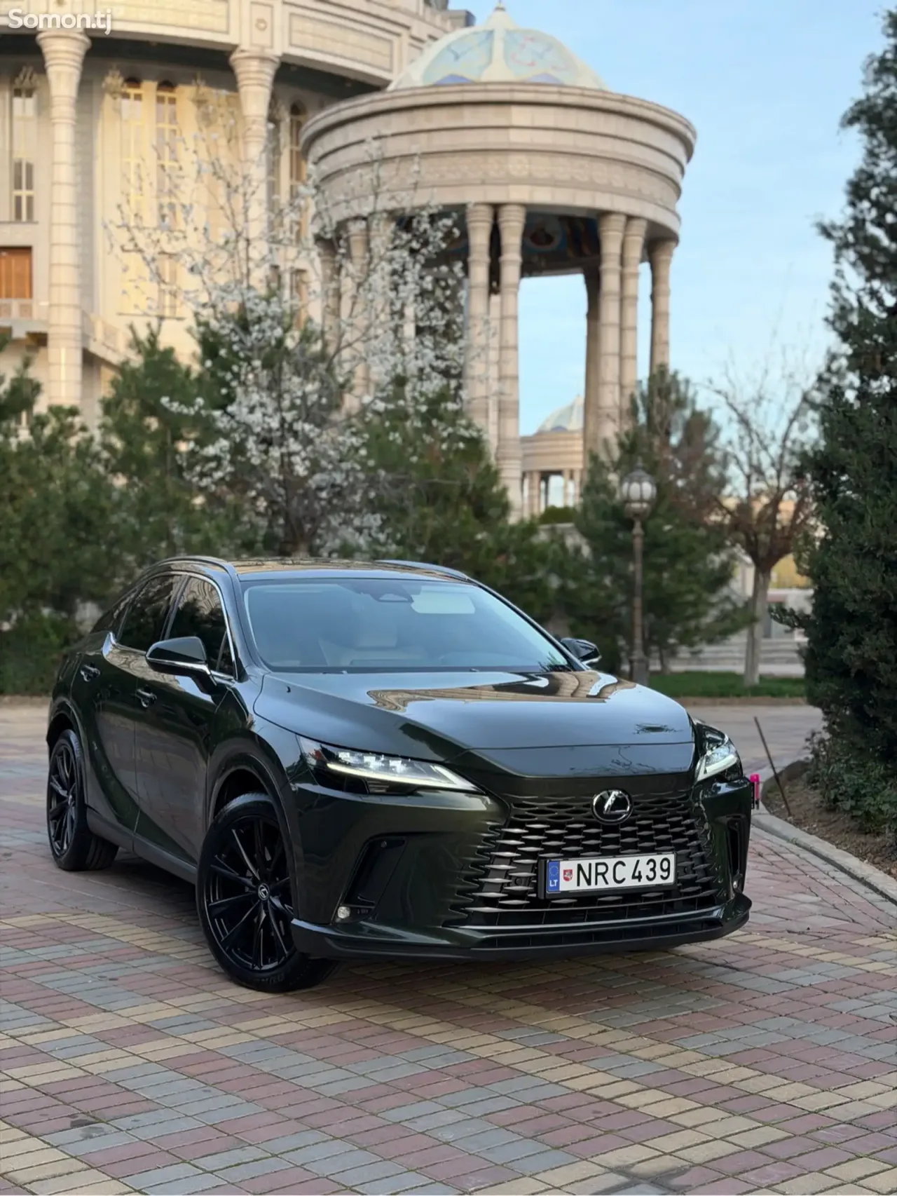 Lexus RX series 2025 · 4.5 AT