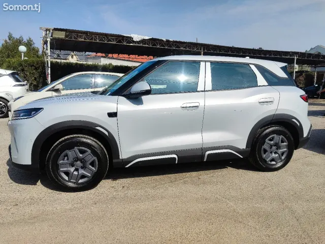 BYD Yuan Up 2025 · AMT