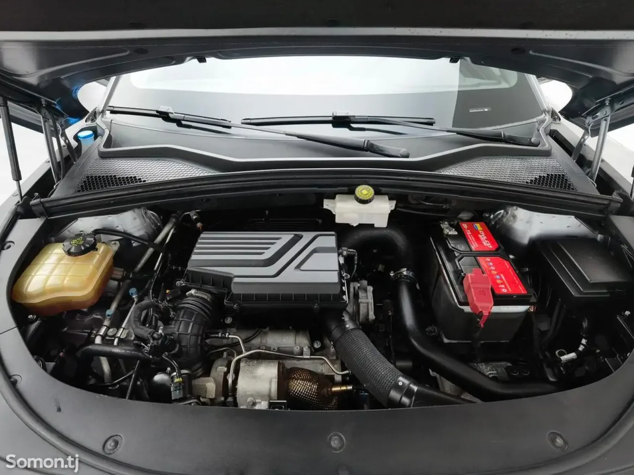 BYD Song Plus 2020 · AT