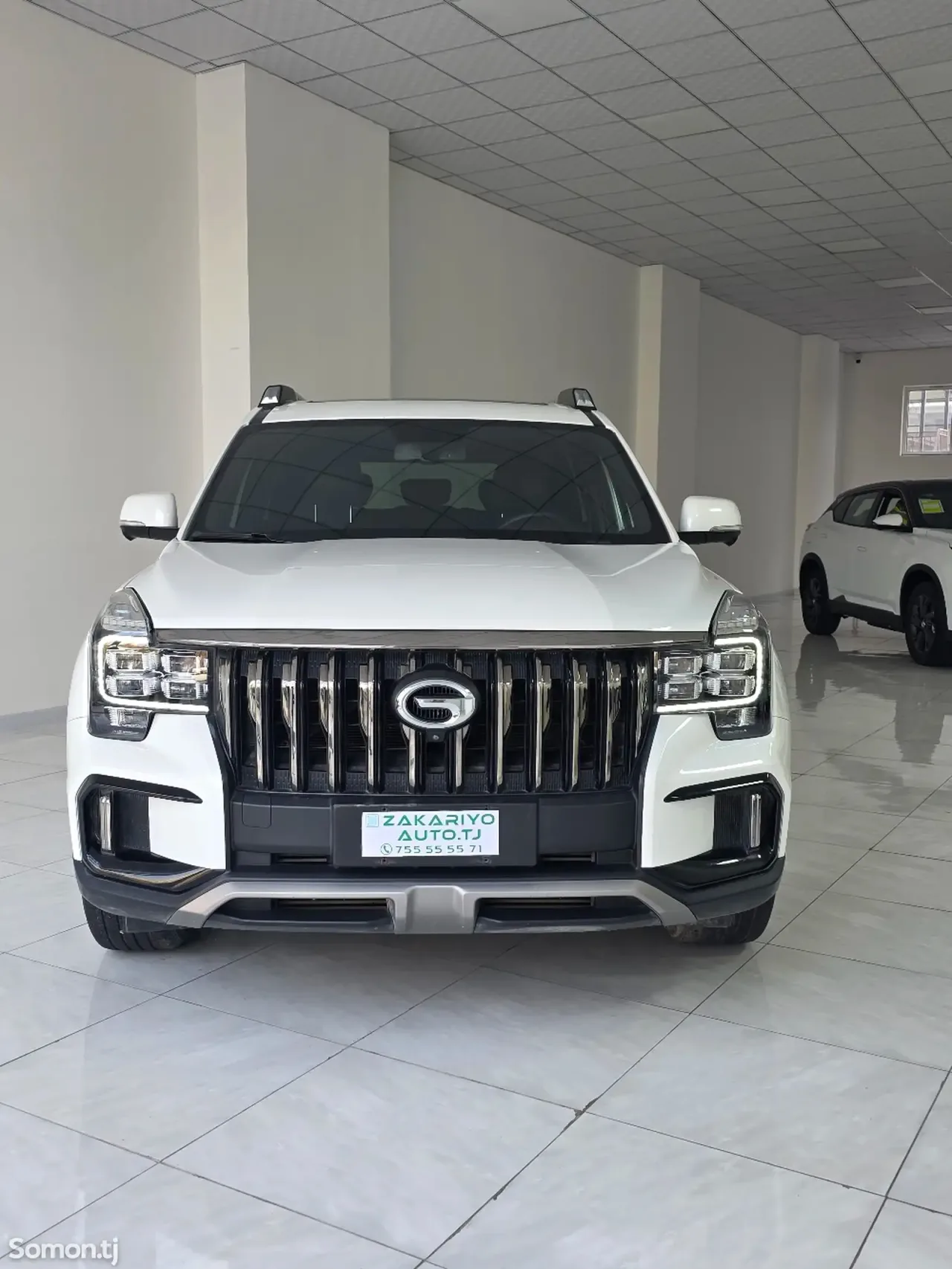 GAC Trumpchi GS8 2020 · 2.0 AT
