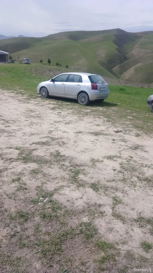 Toyota Corolla 2002 · 1.6 MT
