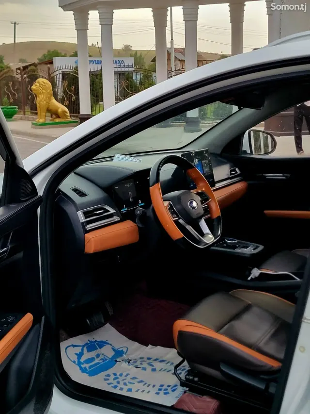 BYD E2 2022 · AT