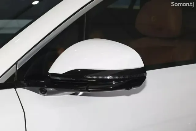 BYD Tang 2025 · AMT