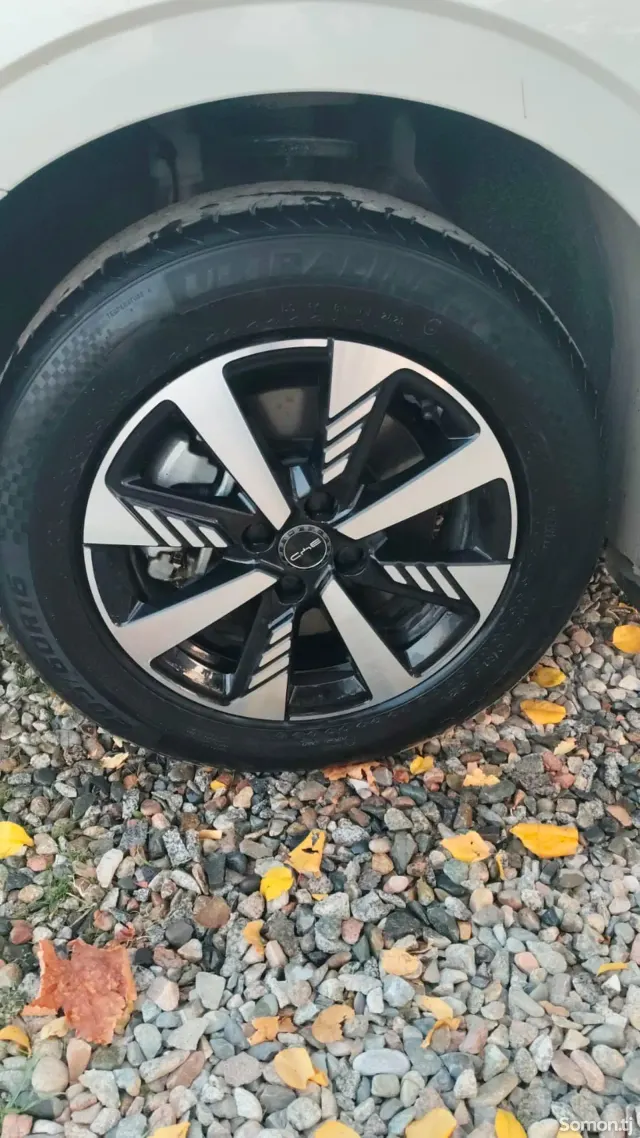 BYD B2 2024 · AT