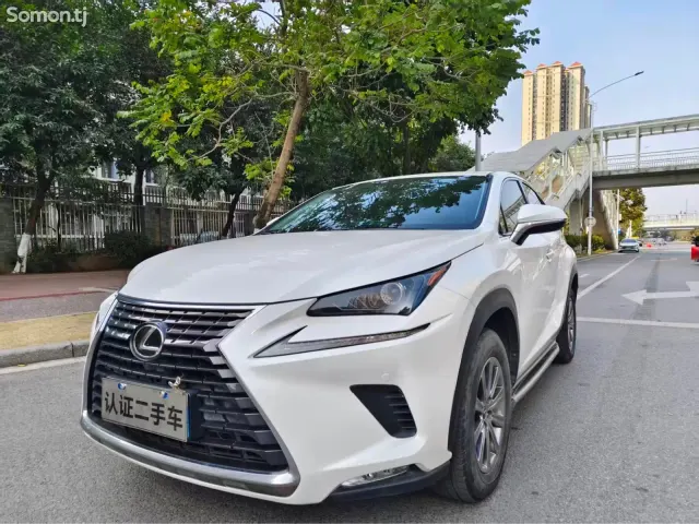 Lexus NX series 2020 · 2.0 AT