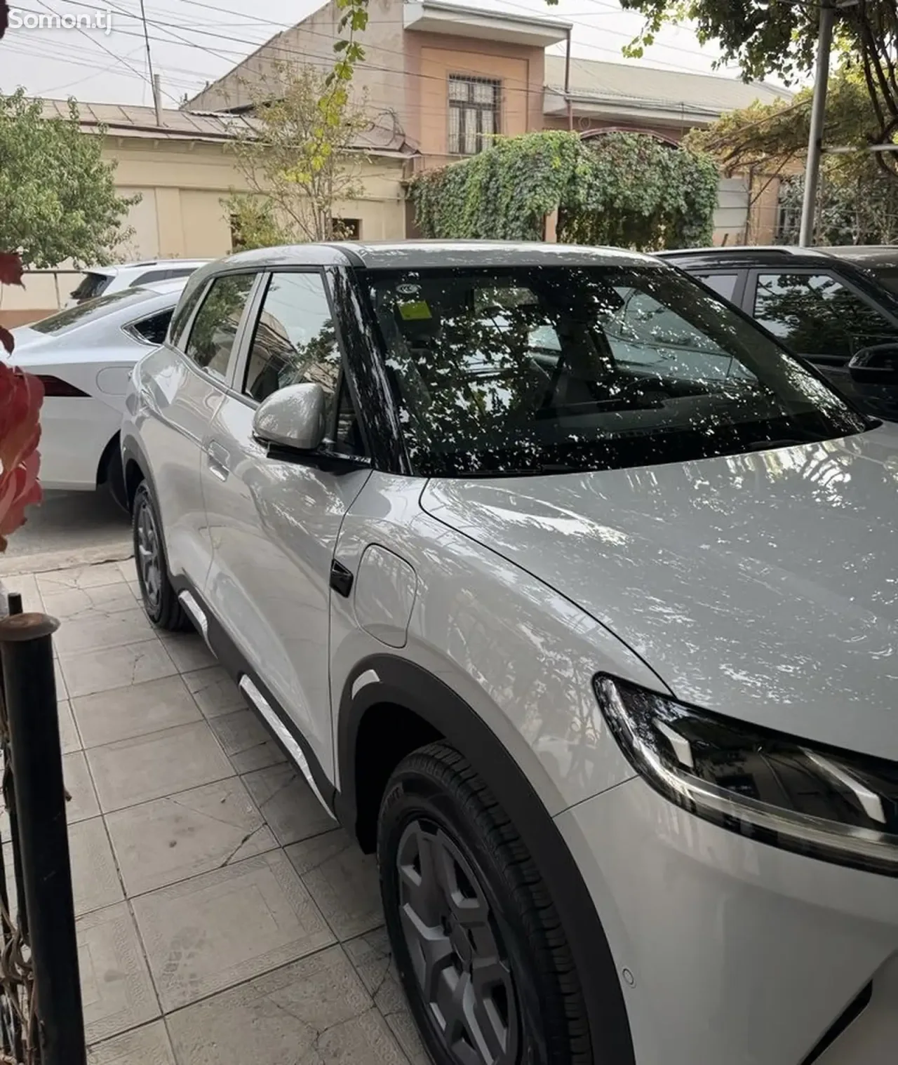 BYD Yuan Up 2025 · AMT