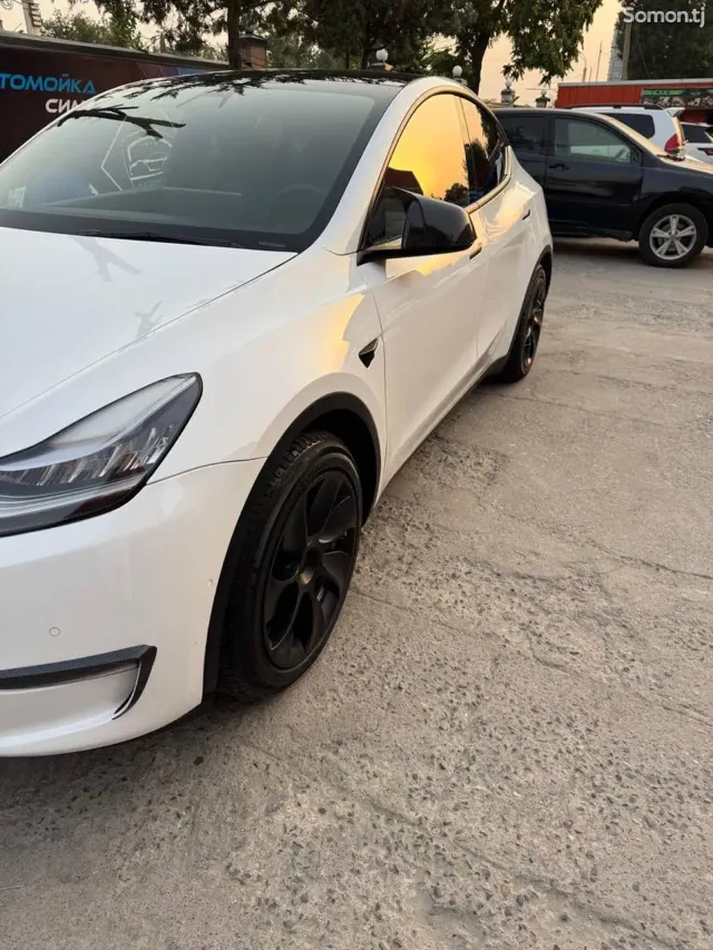 Tesla Model Y 2021 · AT